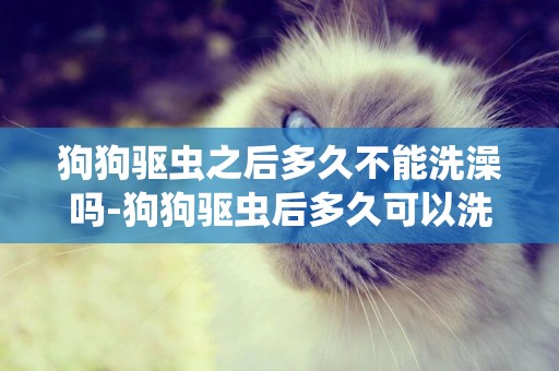 狗狗驅蟲之后多久不能洗澡嗎-狗狗驅蟲后多久可以洗澡