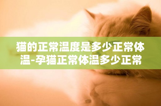貓的正常溫度是多少正常體溫-孕貓正常體溫多少正常體溫
