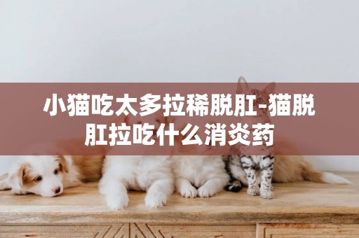 小貓吃太多拉稀脫肛-貓脫肛拉吃什么消炎藥
