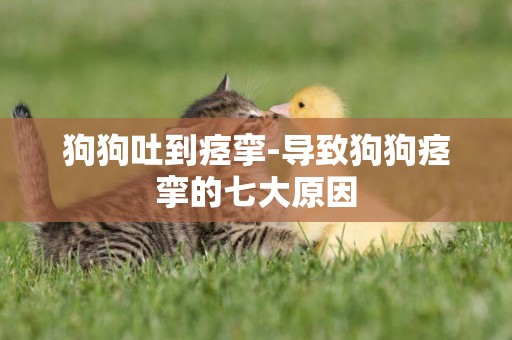 狗狗吐到痙攣-導致狗狗痙攣的七大原因