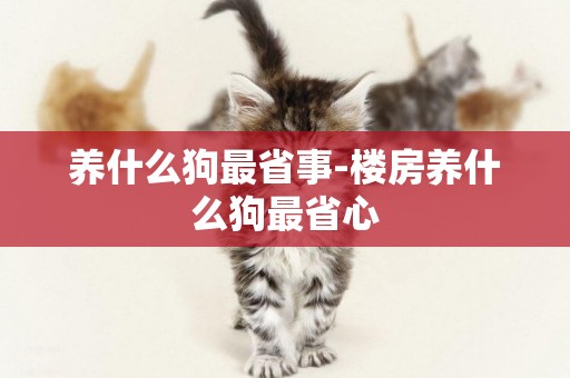 養什么狗最省事-樓房養什么狗最省心