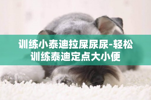 訓練小泰迪拉屎尿尿-輕松訓練泰迪定點大小便