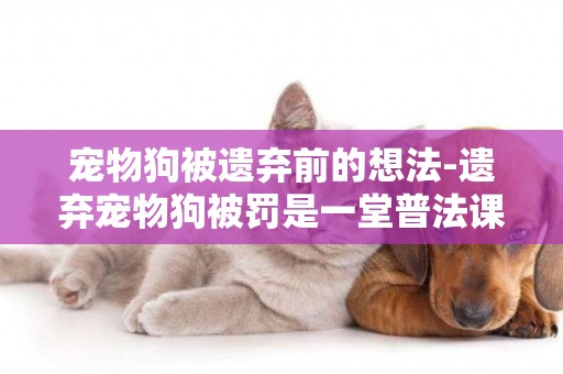 寵物狗被遺棄前的想法-遺棄寵物狗被罰是一堂普法課
