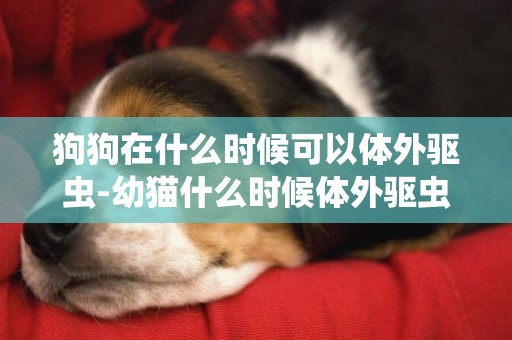 狗狗在什么時候可以體外驅蟲-幼貓什么時候體外驅蟲藥