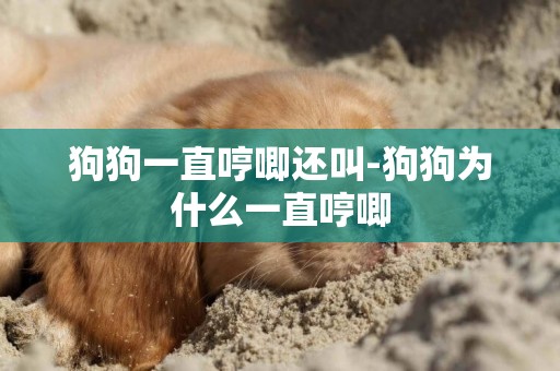 狗狗一直哼唧還叫-狗狗為什么一直哼唧