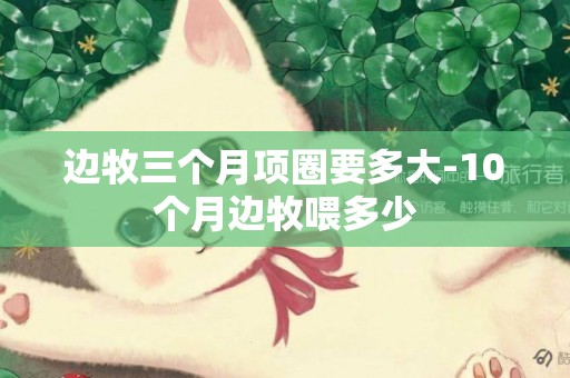 邊牧三個月項圈要多大-10個月邊牧喂多少