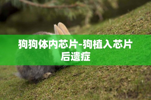 狗狗體內芯片-狗植入芯片后遺癥