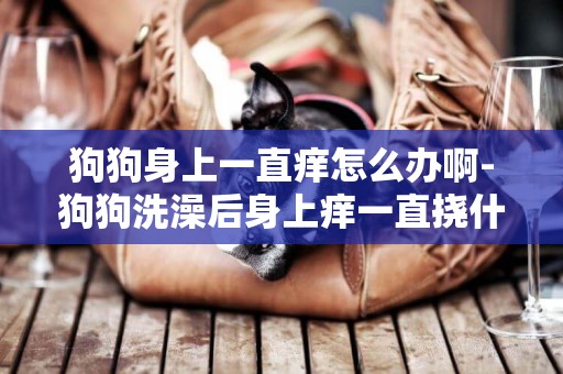 狗狗身上一直癢怎么辦啊-狗狗洗澡后身上癢一直撓什么原因