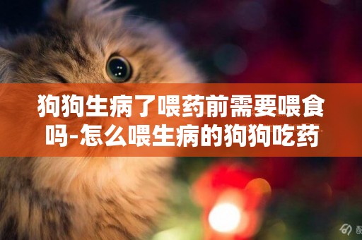 狗狗生病了喂藥前需要喂食嗎-怎么喂生病的狗狗吃藥