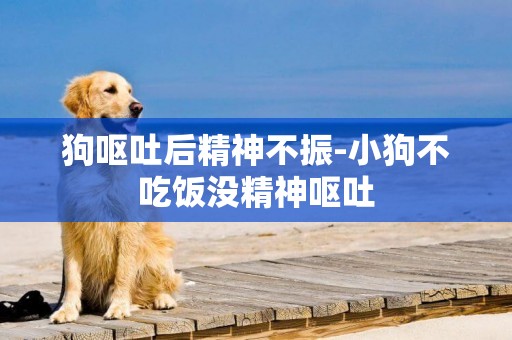 狗嘔吐后精神不振-小狗不吃飯沒精神嘔吐