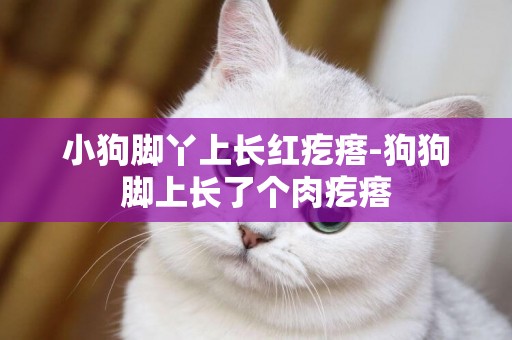 小狗腳丫上長紅疙瘩-狗狗腳上長了個肉疙瘩