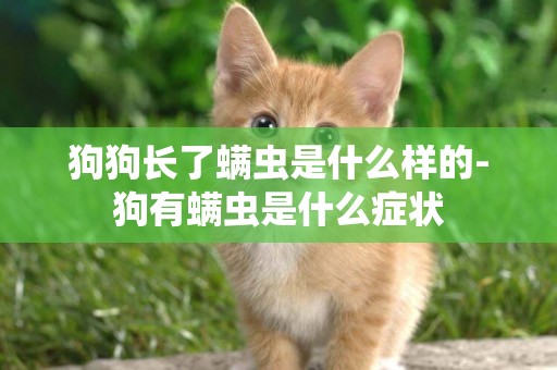 狗狗長了螨蟲是什么樣的-狗有螨蟲是什么癥狀