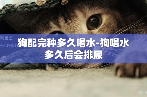 狗配完種多久喝水-狗喝水多久后會排尿
