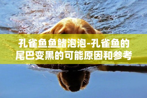 孔雀魚魚鰭泡泡-孔雀魚的尾巴變黑的可能原因和參考解決辦法