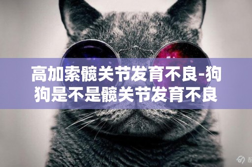 高加索髖關節發育不良-狗狗是不是髖關節發育不良