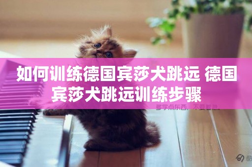 如何訓練德國賓莎犬跳遠 德國賓莎犬跳遠訓練步驟
