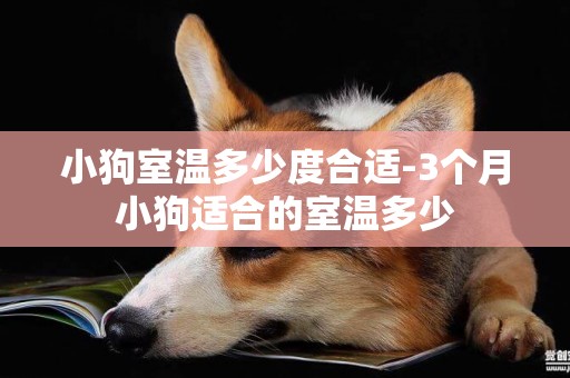 小狗室溫多少度合適-3個月小狗適合的室溫多少