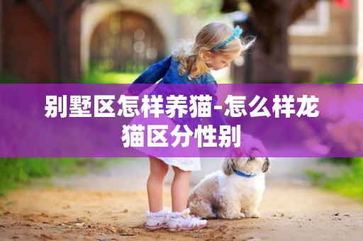 別墅區怎樣養貓-怎么樣龍貓區分性別