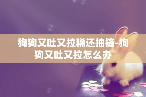 狗狗又吐又拉稀還抽搐-狗狗又吐又拉怎么辦