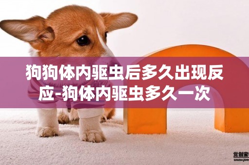 狗狗體內驅蟲后多久出現反應-狗體內驅蟲多久一次