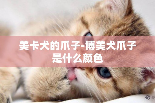 美卡犬的爪子-博美犬爪子是什么顏色