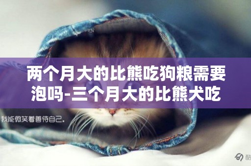兩個月大的比熊吃狗糧需要泡嗎-三個月大的比熊犬吃多少狗糧