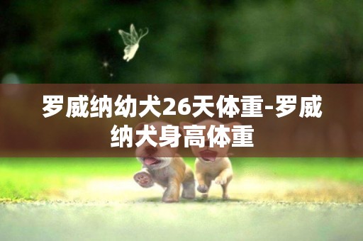 羅威納幼犬26天體重-羅威納犬身高體重
