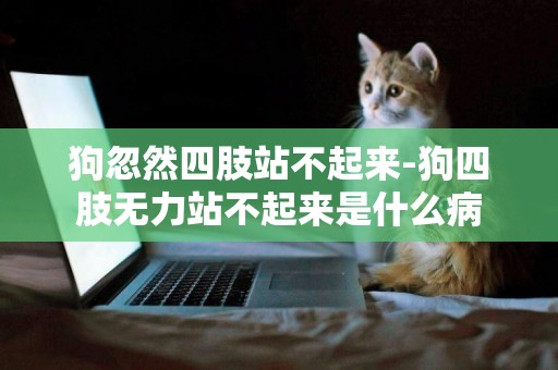 狗忽然四肢站不起來-狗四肢無力站不起來是什么病