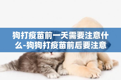 狗打疫苗前一天需要注意什么-狗狗打疫苗前后要注意什么