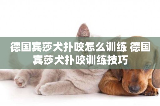 德國賓莎犬撲咬怎么訓練 德國賓莎犬撲咬訓練技巧