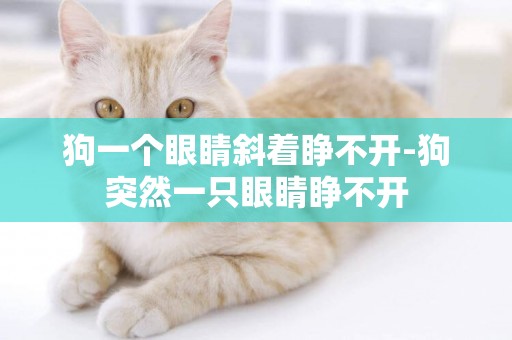 狗一個眼睛斜著睜不開-狗突然一只眼睛睜不開