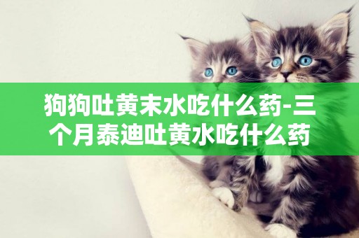 狗狗吐黃末水吃什么藥-三個月泰迪吐黃水吃什么藥