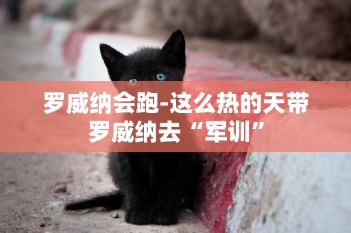 羅威納會跑-這么熱的天帶羅威納去“軍訓”