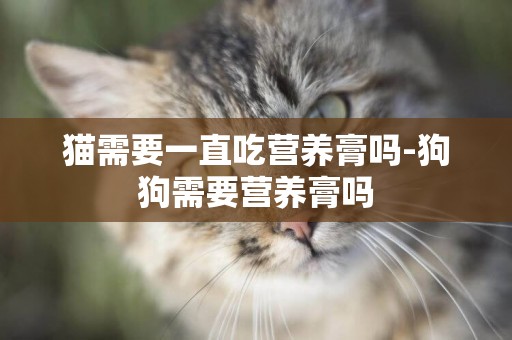貓需要一直吃營養膏嗎-狗狗需要營養膏嗎