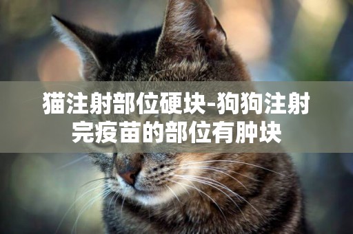 貓注射部位硬塊-狗狗注射完疫苗的部位有腫塊
