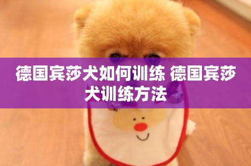 德國賓莎犬如何訓練 德國賓莎犬訓練方法