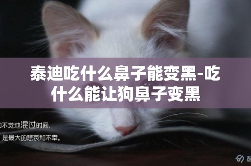 泰迪吃什么鼻子能變黑-吃什么能讓狗鼻子變黑