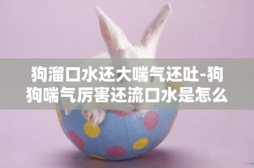狗溜口水還大喘氣還吐-狗狗喘氣厲害還流口水是怎么回事