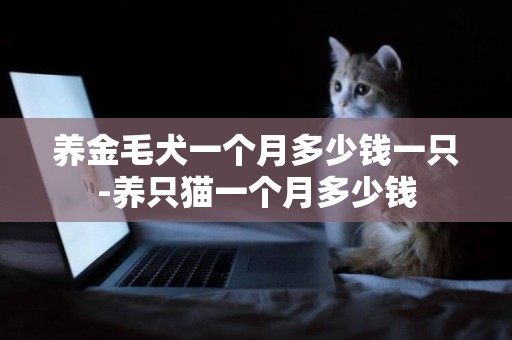 養金毛犬一個月多少錢一只-養只貓一個月多少錢