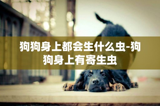 狗狗身上都會生什么蟲-狗狗身上有寄生蟲