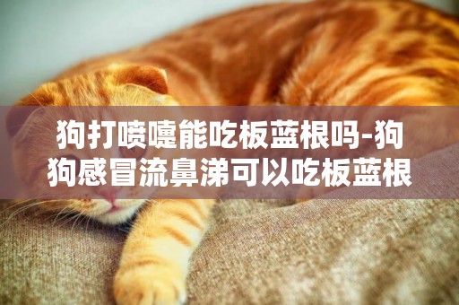 狗打噴嚏能吃板藍根嗎-狗狗感冒流鼻涕可以吃板藍根嗎