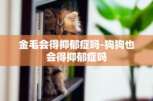 金毛會得抑郁癥嗎-狗狗也會得抑郁癥嗎