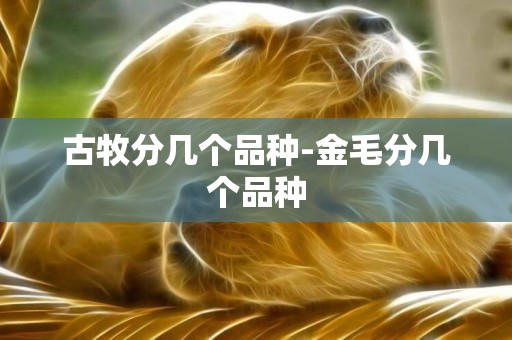 古牧分幾個品種-金毛分幾個品種