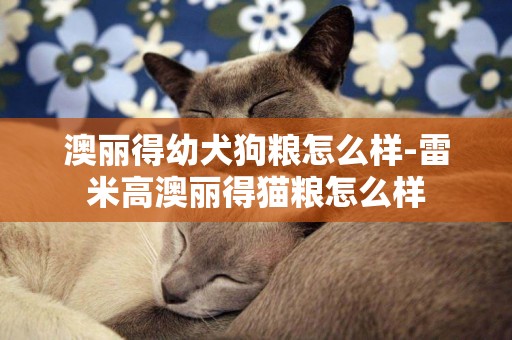 澳麗得幼犬狗糧怎么樣-雷米高澳麗得貓糧怎么樣