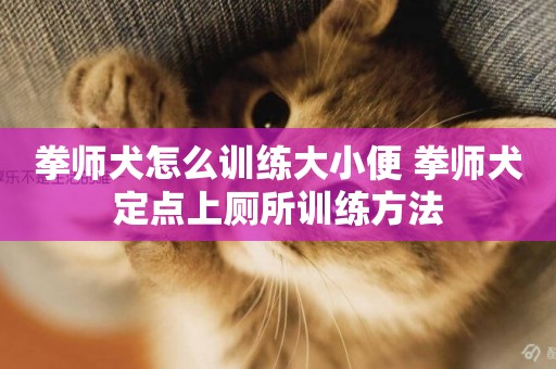 拳師犬怎么訓練大小便 拳師犬定點上廁所訓練方法