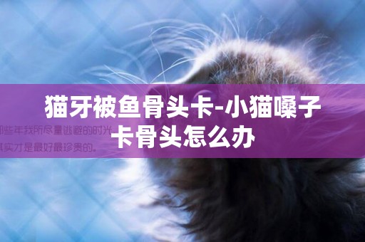 貓牙被魚骨頭卡-小貓嗓子卡骨頭怎么辦