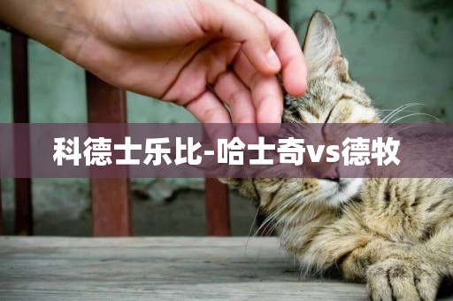 科德士樂比-哈士奇vs德牧