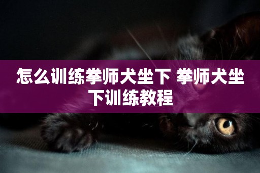 怎么訓練拳師犬坐下 拳師犬坐下訓練教程