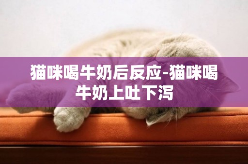 貓咪喝牛奶后反應-貓咪喝牛奶上吐下瀉