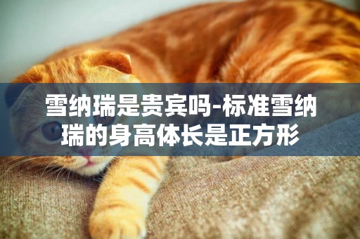 雪納瑞是貴賓嗎-標準雪納瑞的身高體長是正方形